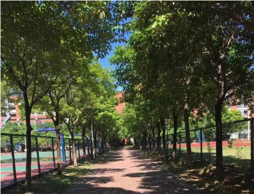 天气炎热高温的文案说说（150句）