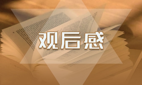去黄山旅游的个人观后感300字范文7篇