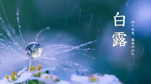 2019白露是什么时候?白露是什么意思?