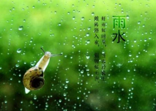 杏花开满山村