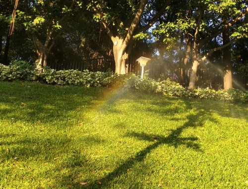 夏天<a href=/zuowen/ target=_blank class=infotextkey>作文</a>素材怎么写
